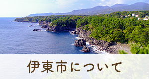 伊東市について